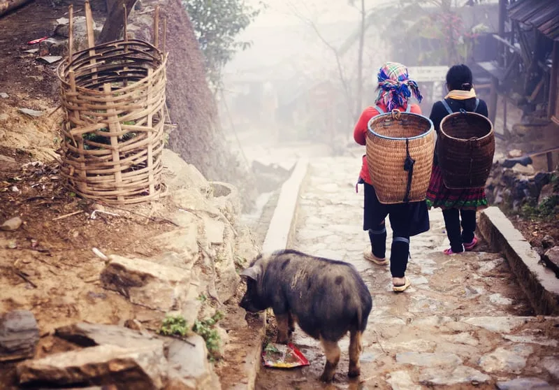 Local village life on a mountain path in Sapa, Vietnam