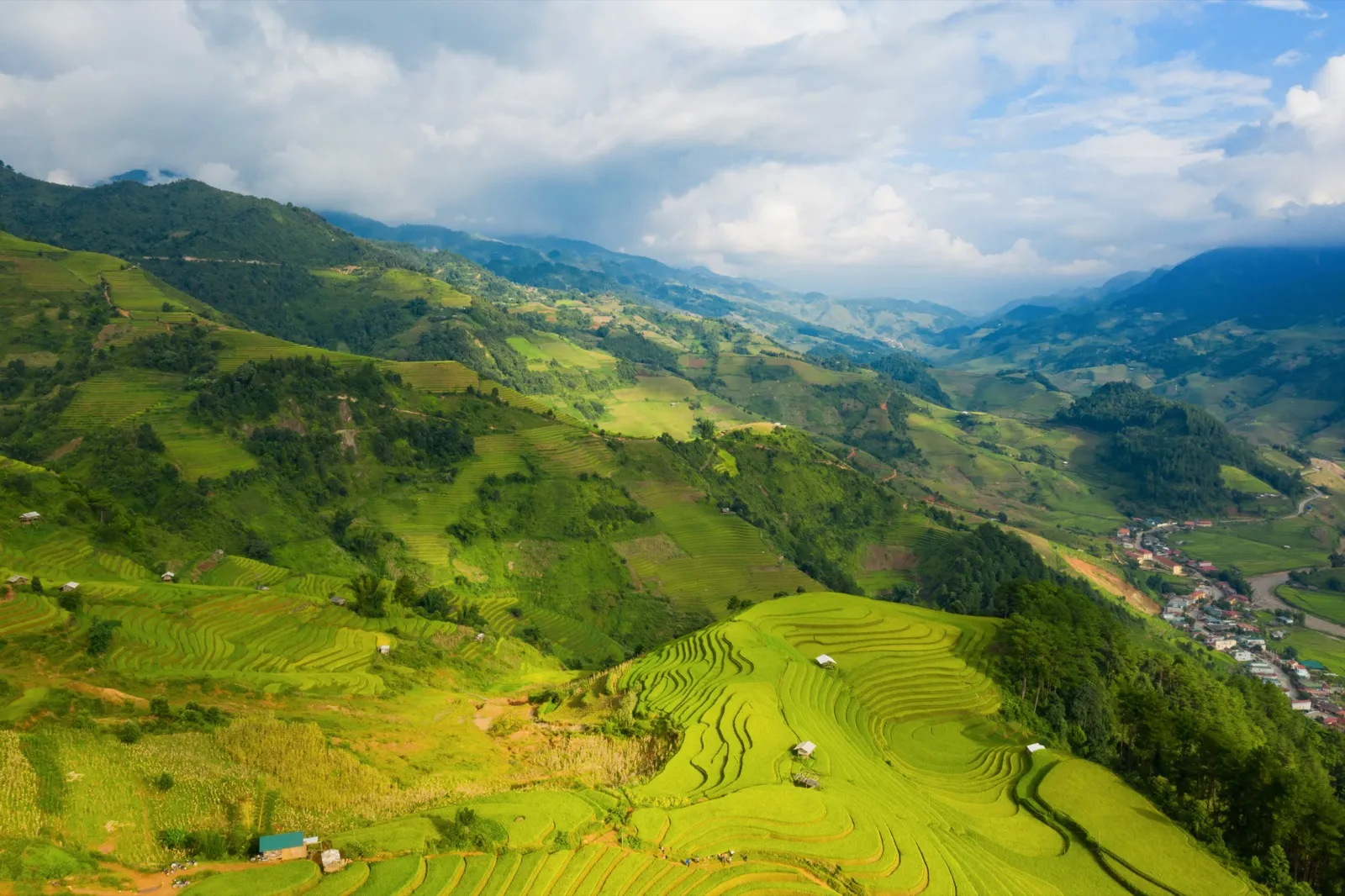 Green rice terraces in a mountain valley in northwest Vietnam