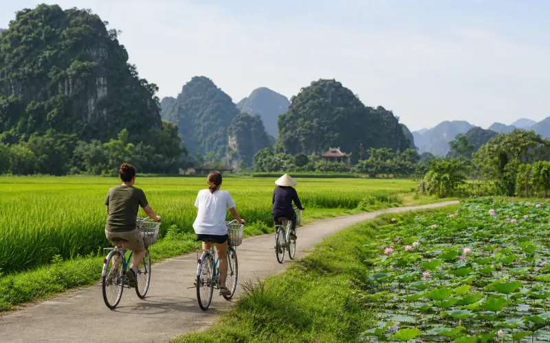 Cyclists riding a lane between rice fields and lotus ponds below karst hills near Tam Coc