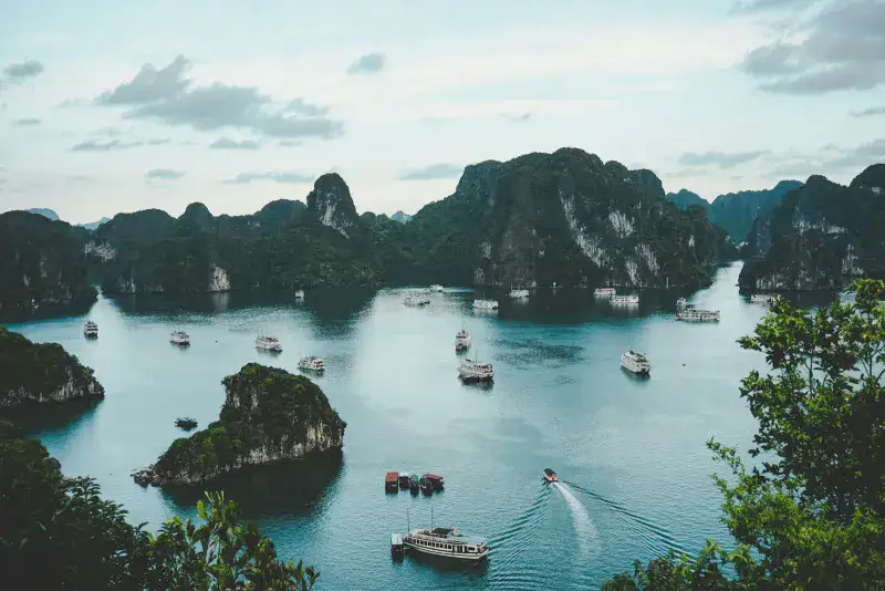 Halong cruise partner