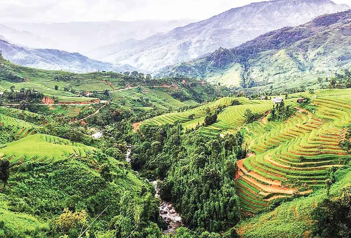 Central Highlands