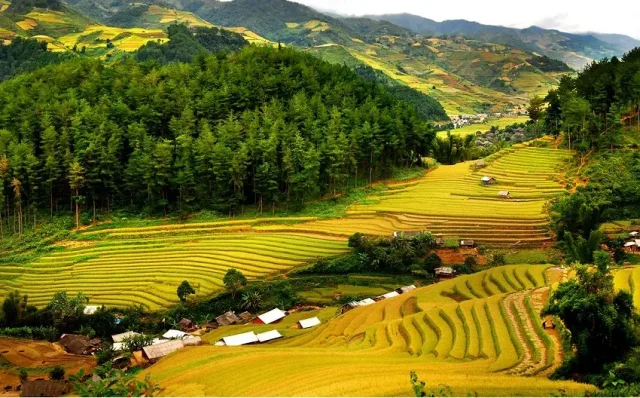 Mai Chau, Pu Luong & Moc Chau
