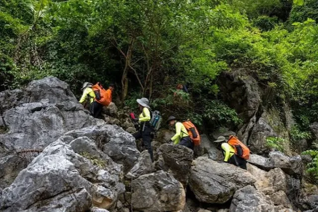 Phong Nha Trekking, Caves & Camping: Adventure in the Forest