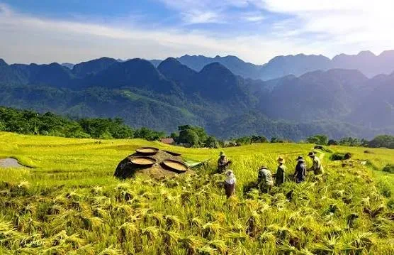 Mai Chau – Pu Luong Eco Retreat: Green Valley & Untamed Nature