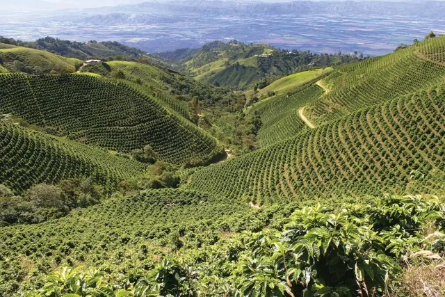 Da Lat Countryside & Coffee Farm Tour