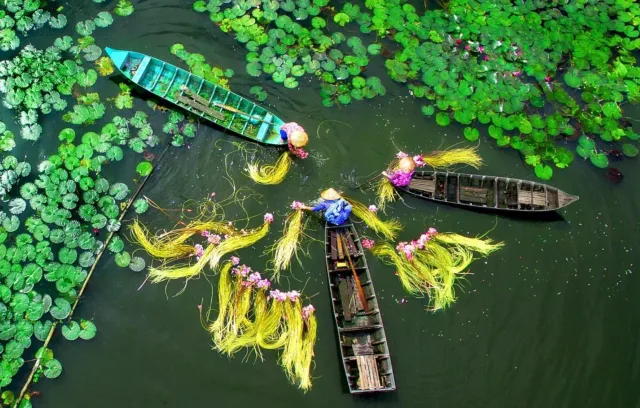 Classic Mekong Delta Tour 3 Days 2 Nights – My Tho, Ben Tre, Can Tho