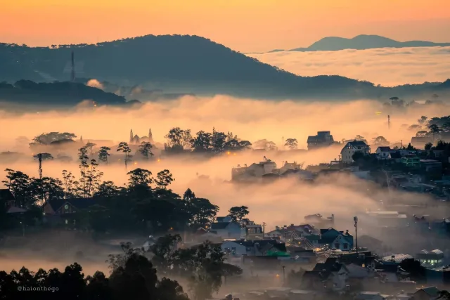 Cloud Hunting & Cau Dat Tea Hill Tour in Da Lat