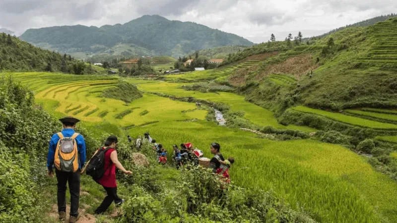 Sapa Trekking Homestay 2 Days 1 Night – Rice Terraces & Villages 4