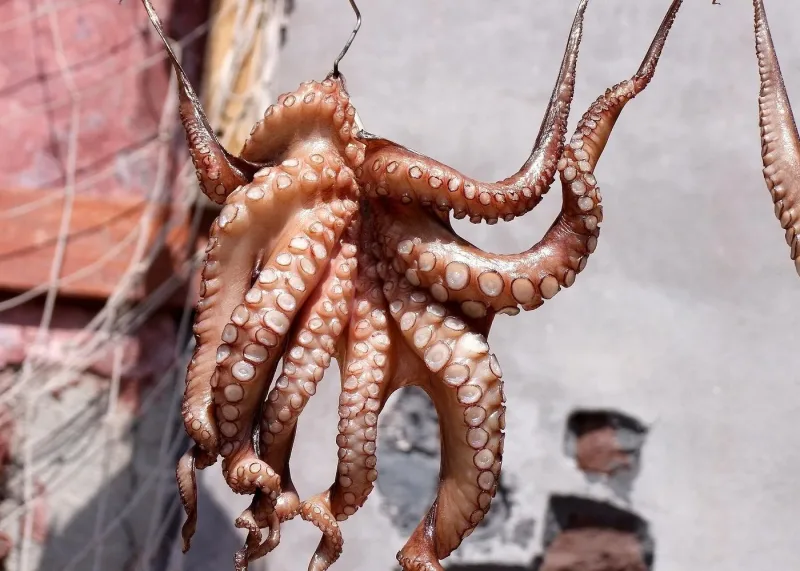 Phu Quoc Night Squid Fishing Tour 2
