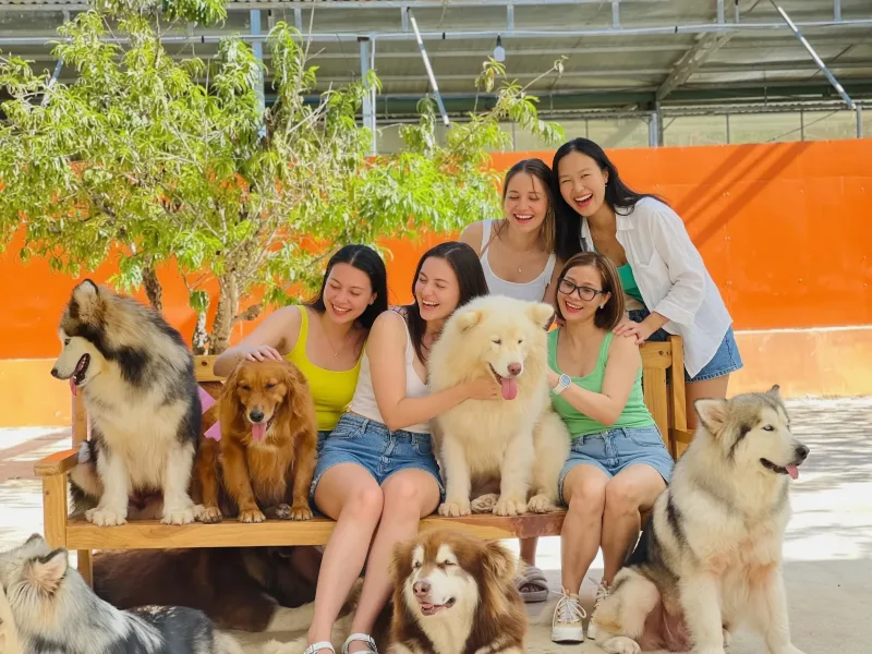 Da Lat Family Farm & Puppy Farm Tour 2