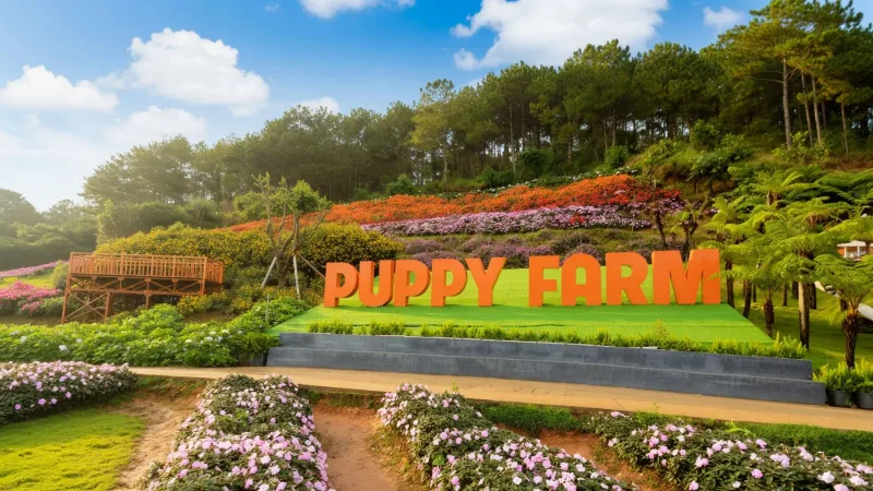 Da Lat Family Farm & Puppy Farm Tour 4
