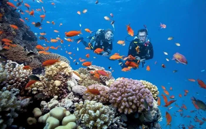 Phú Quốc ファミリーリゾート: 3島・サファリ・グランドワールド・リゾート滞在 4