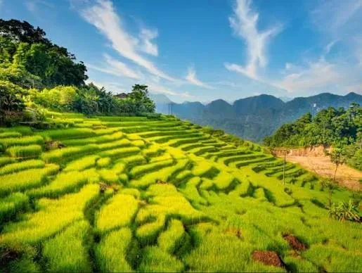 Mai Chau – Pu Luong 에코 리트리트: 푸른 계곡과 자연 그대로 4