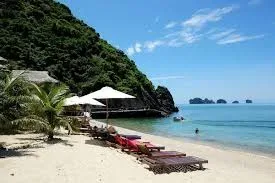 Cat Ba National Park & Lan Ha Bay Kayak Tour 2
