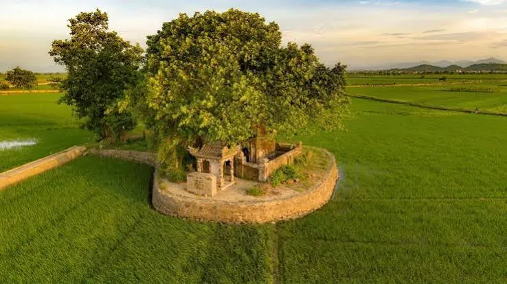 Hue Countryside & Thanh Toan Tiled Bridge Tour 3