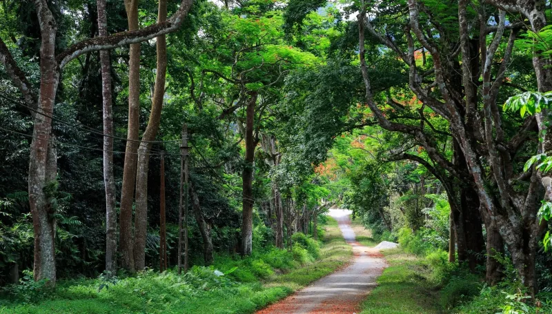 Cuc Phuong National Park Tour — Explore Ninh Binh Tropical Forest 3