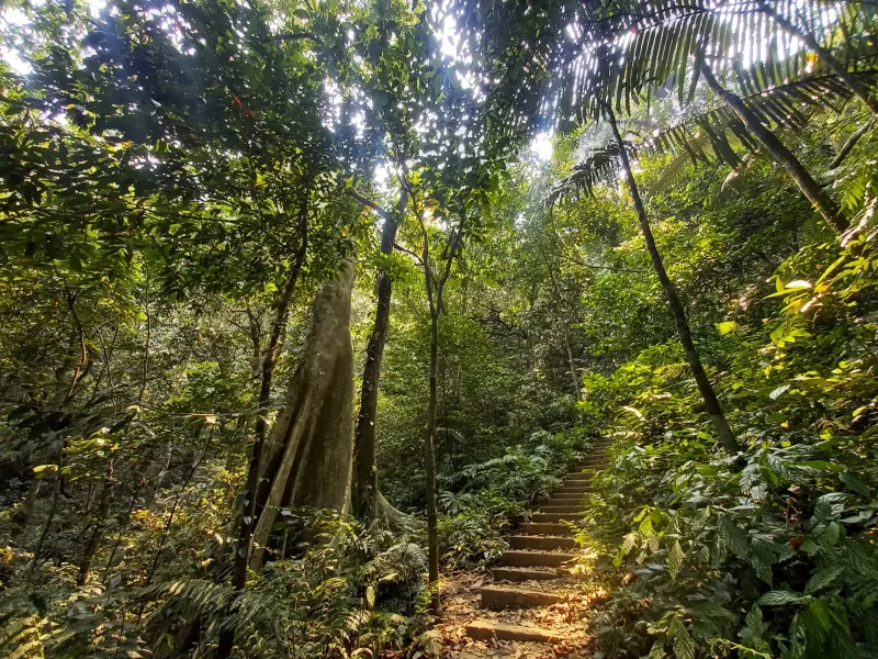 Cuc Phuong National Park Tour — Explore Ninh Binh Tropical Forest 5
