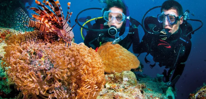 Nha Trang Snorkeling & Coral Reef Tour 3