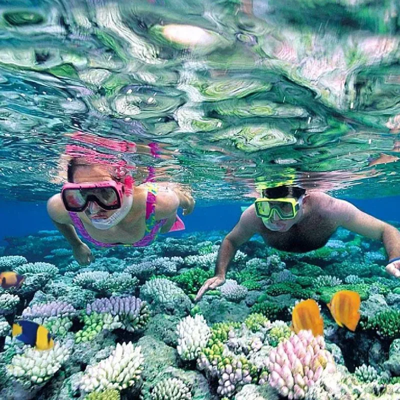 Nha Trang Snorkeling & Coral Reef Tour 4