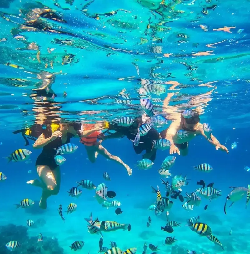 Private Yacht & Boat Charter Nha Trang 3