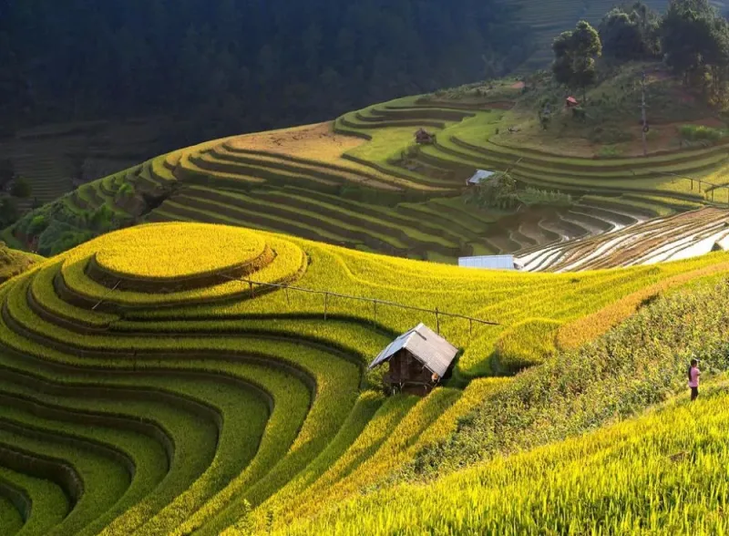 Luxury Private Ha Giang Stone Plateau Journey 4
