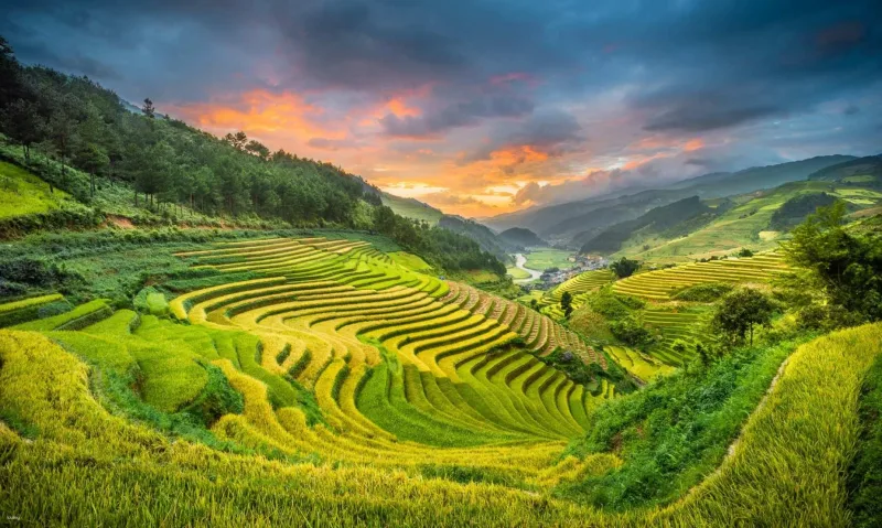 Sapa: Luxury Resort Retreat, Soft Trek Rice Terraces & Villages 5