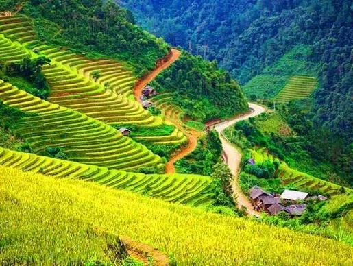 Sapa Village Trekking 4