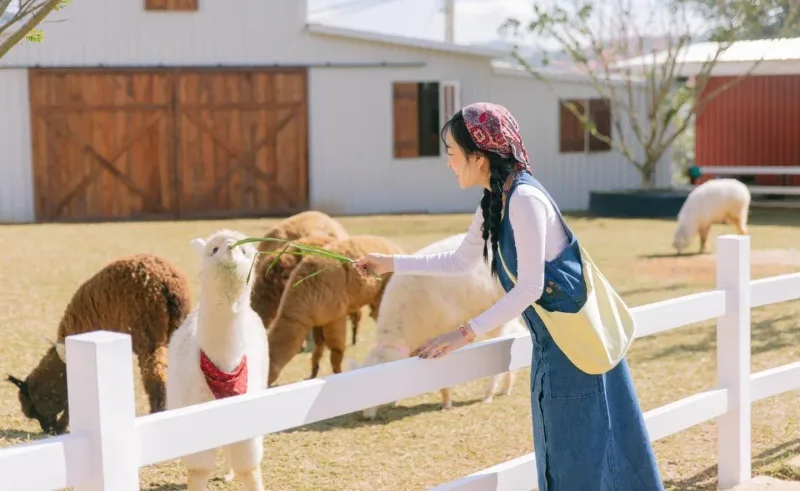 Puppy Farm & Flower Garden Tour in Da Lat 2