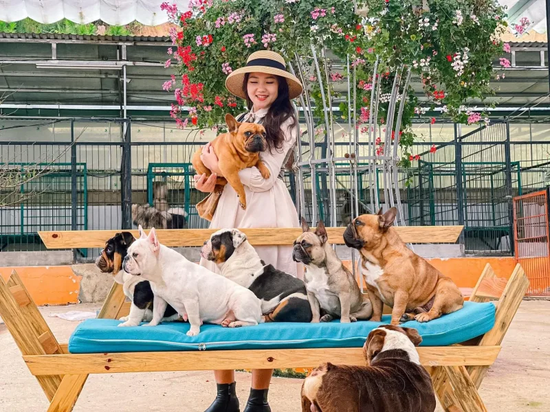 Puppy Farm & Flower Garden Tour in Da Lat 4