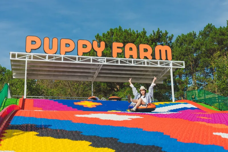 Puppy Farm & Flower Garden Tour in Da Lat 5