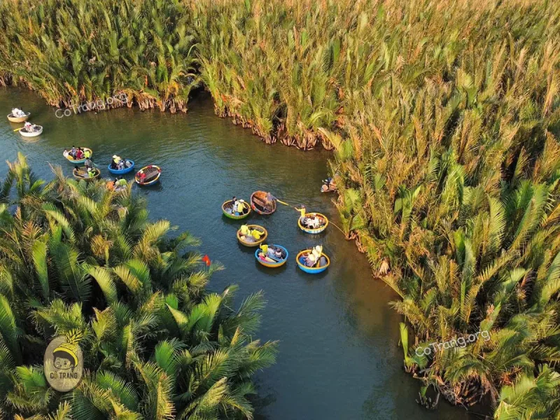 Hoi An Basket Boat & Coconut Forest Tour 3