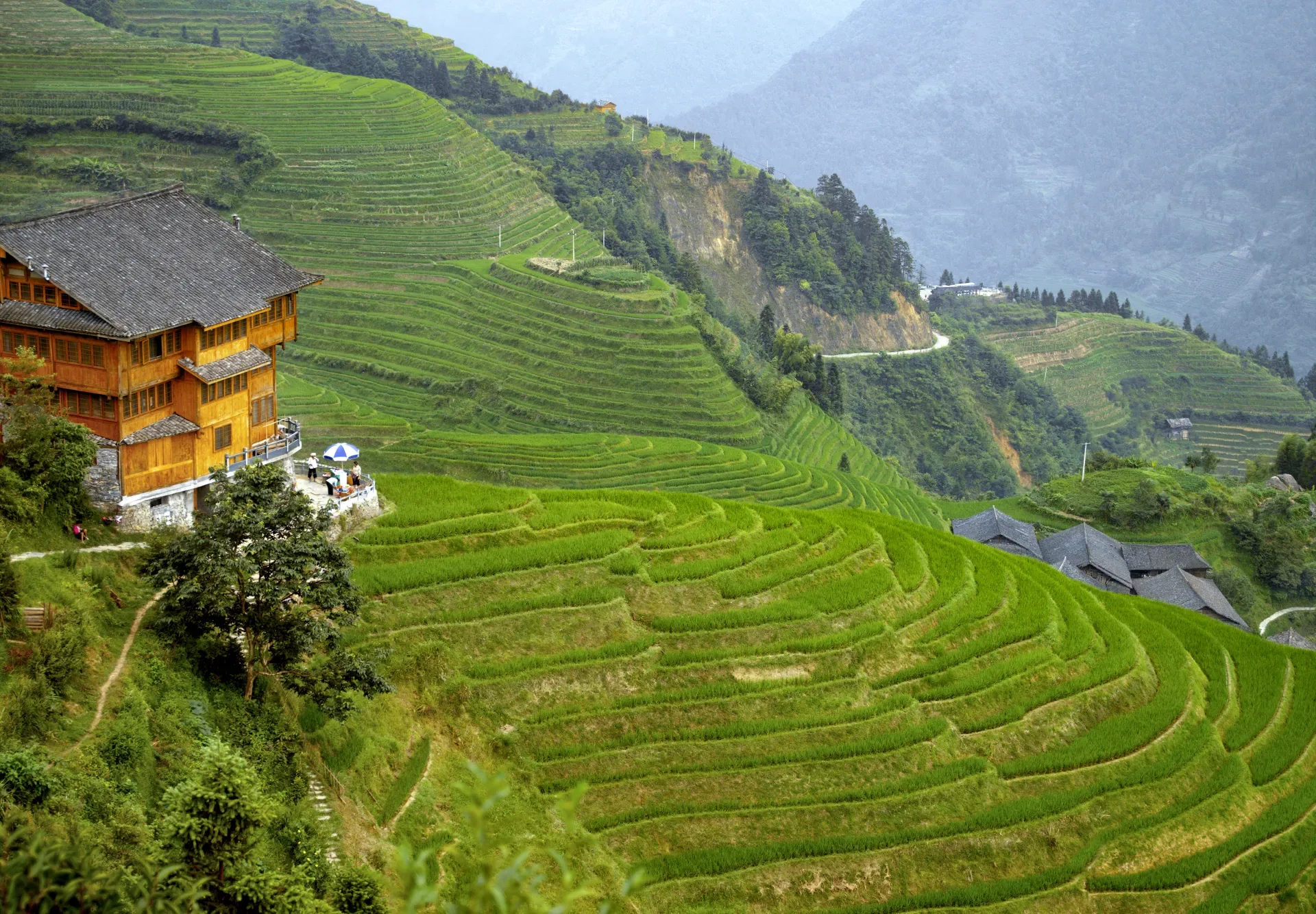 Rice terraces and a traditional homestay in Sa Pa