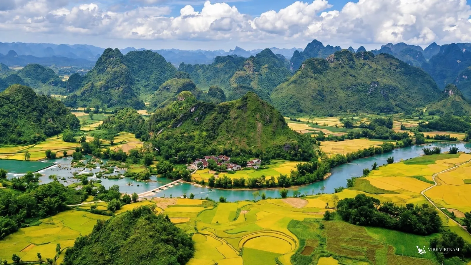 A river winding through ripe rice fields and limestone hills in the Ninh Binh countryside