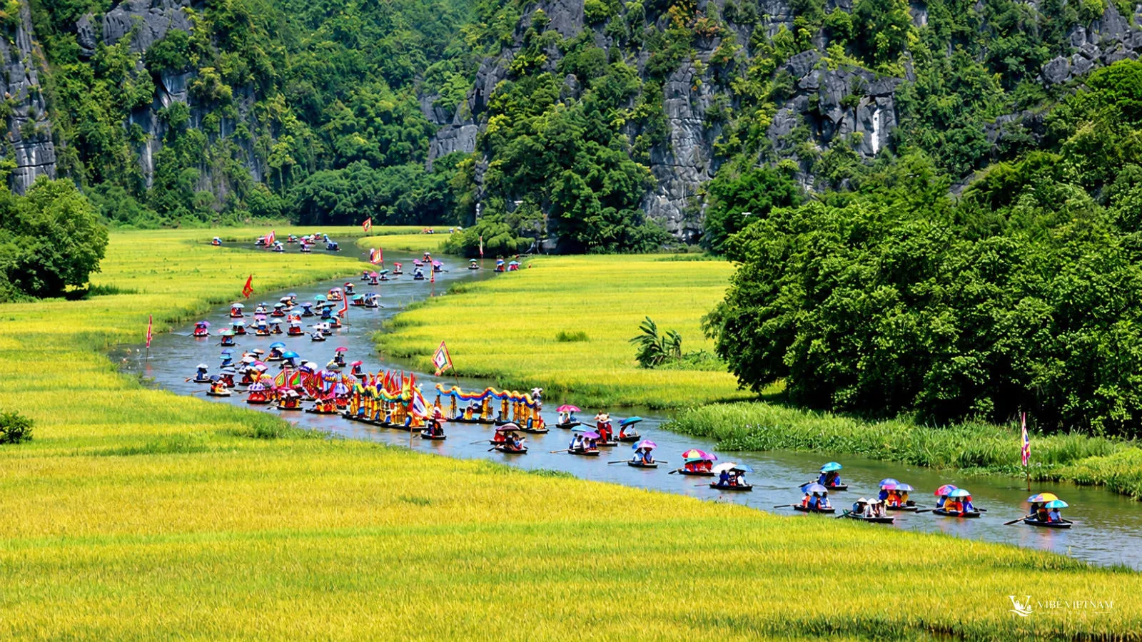 Small rowboats carrying visitors between green cliffs and rice fields on a Ninh Binh waterway