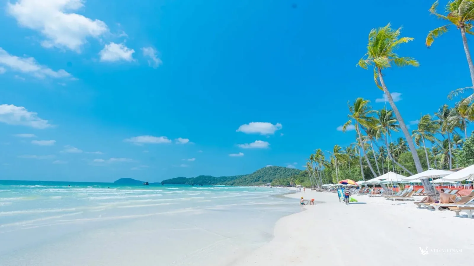 Best Beaches in Vietnam by Season (2026): Where to Go and When